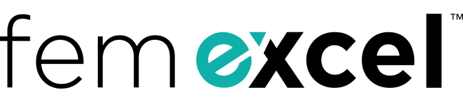 Fem Excel logo